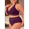 Tempt Me Women Plus Size Bikini High Waisted Swimsuits Mesh Tummy Control Two Piece Bathing Suit(Purple)