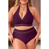 Tempt Me Women Plus Size Bikini High Waisted Swimsuits Mesh Tummy Control Two Piece Bathing Suit(Purple)