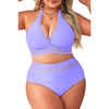 Tempt Me Women Plus Size Bikini High Waisted Swimsuits Mesh Tummy Control Two Piece Bathing Suit(Lavender)