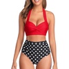 Red/Black Dot